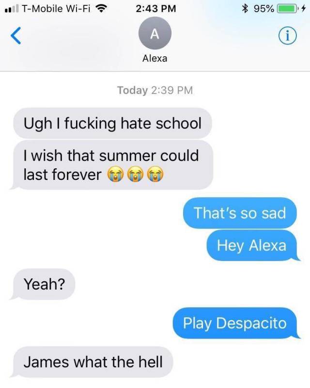dank that's so sad alexa play despacito - l TMobile WiFi 95%O 4 A Alexa Today Ugh I fucking hate school I wish that summer could last forever That's so sad Hey Alexa Yeah? Play Despacito James what the hell