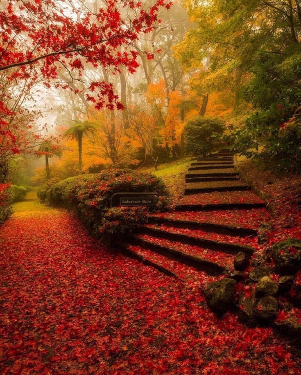 autumn paradise