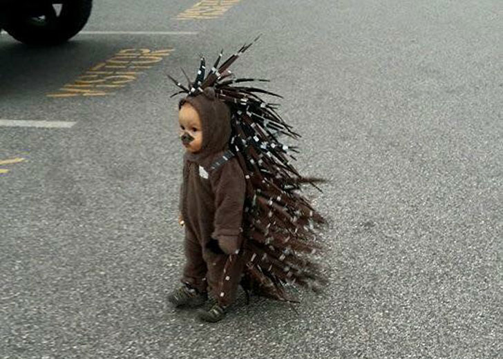 porcupine halloween costume