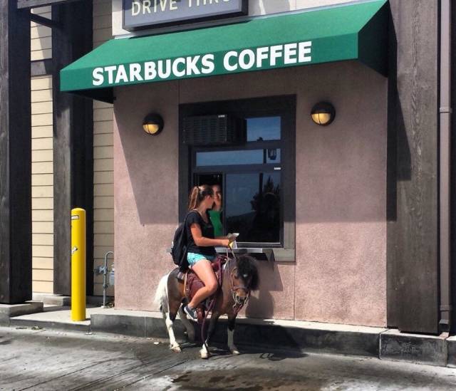 evolution of white girls - Drive U Starbucks Coffee