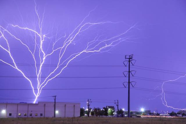 tree shaped lightning