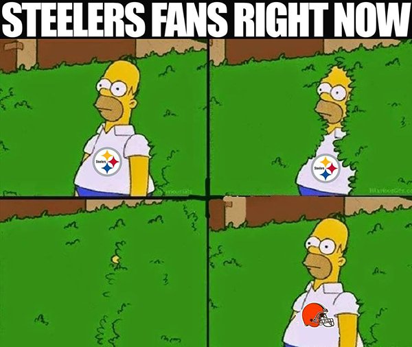 memes - homer in the bush - Steelers Fans Right Now