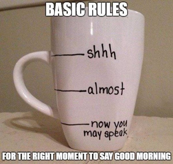memes - good morning coffee meme - Basic Rules shhh almost now you may speak. For The Right Moment To Say Good Morning