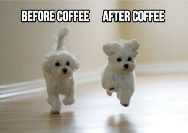 memes - cute good morning meme - Before Coffee After Coffee