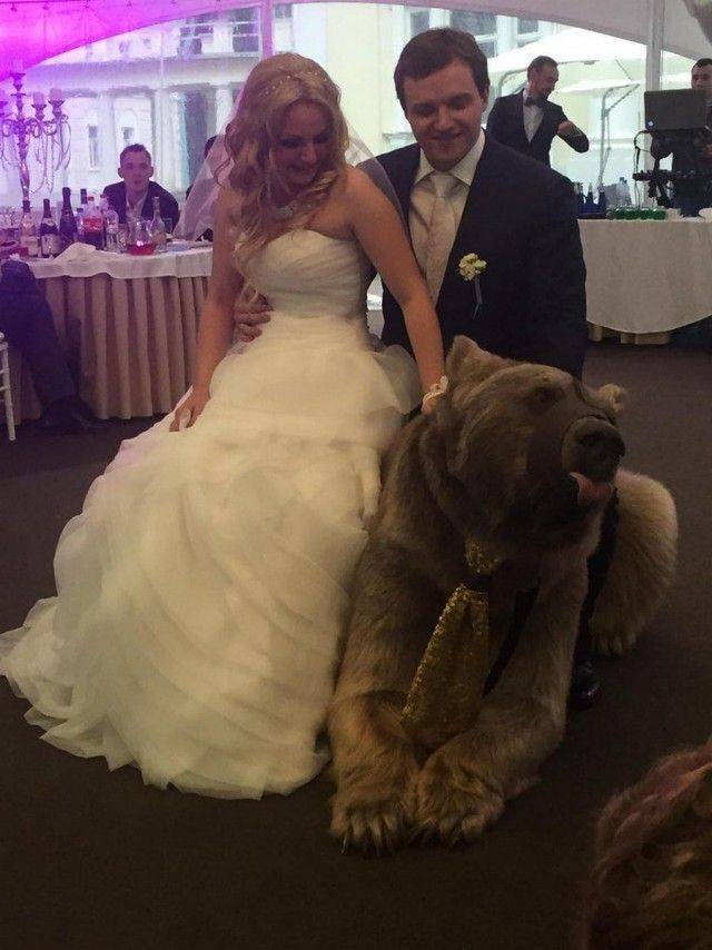 bear at a wedding posing with groom and bride