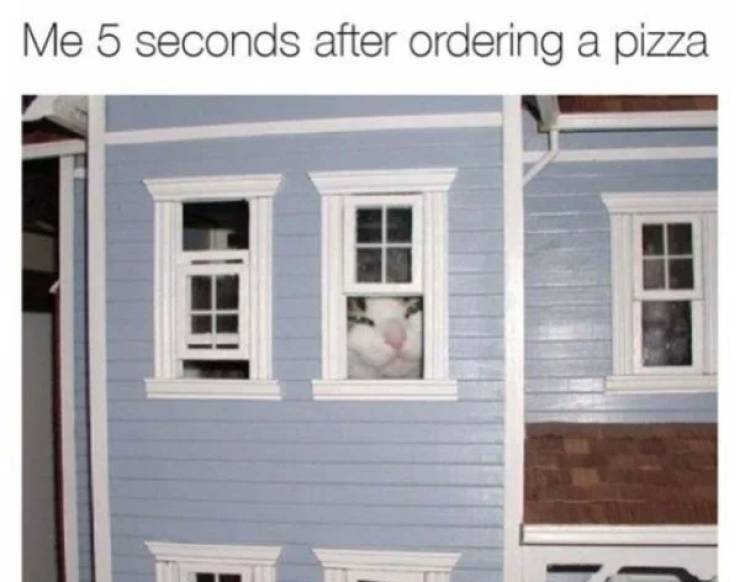 after ordering pizza meme - Me 5 seconds after ordering a pizza