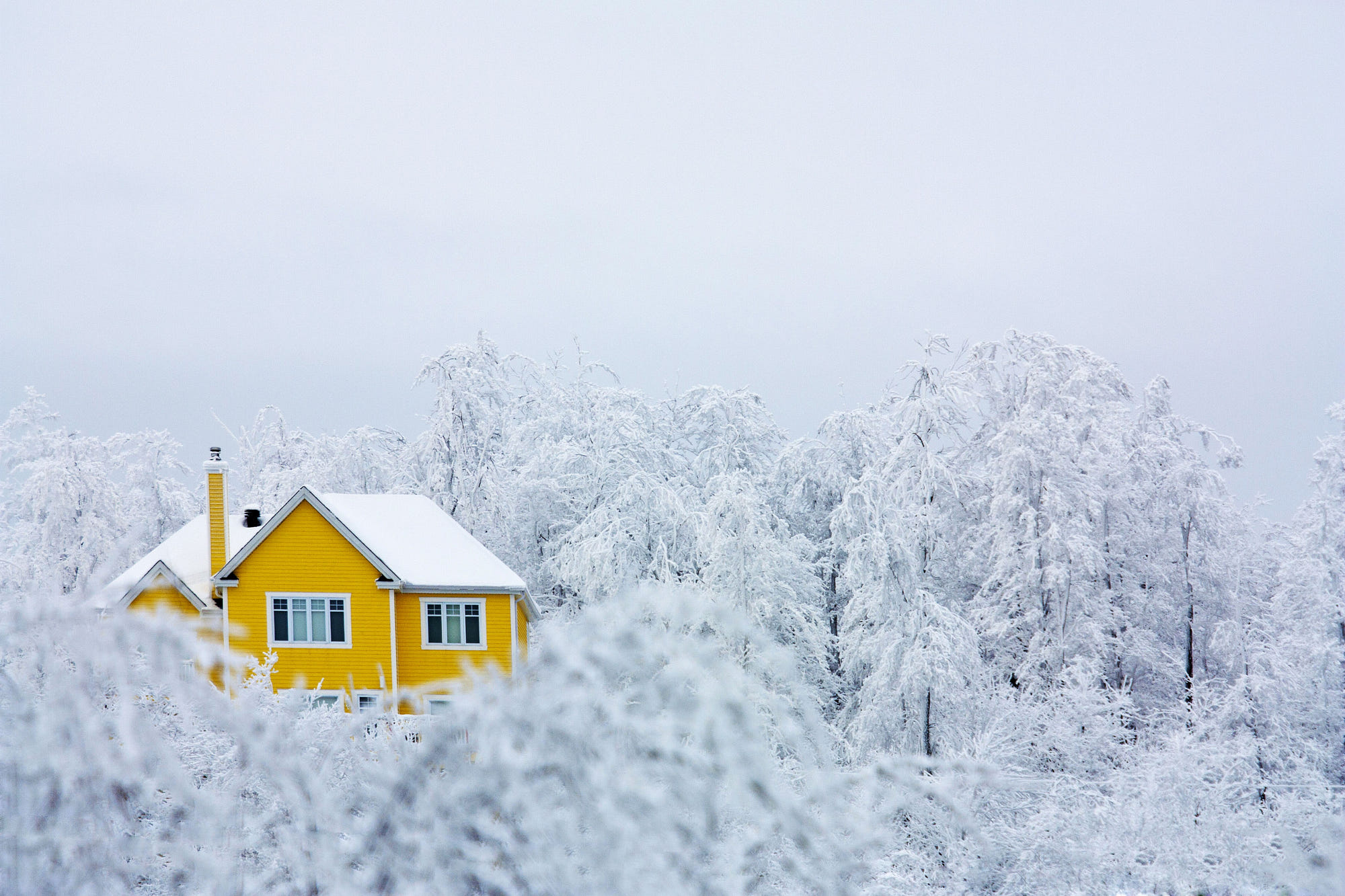 yellow house snow