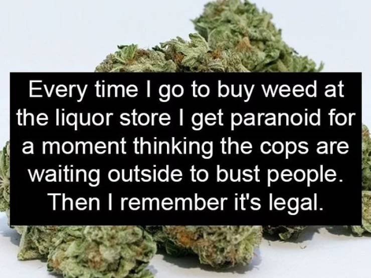 cannabis - Every time I go to buy weed at the liquor store I get paranoid for a moment thinking the cops are waiting outside to bust people. Then I remember it's legal.