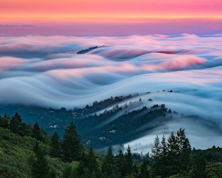 31 Fantastic Pics that Will Stimulate Your Senses