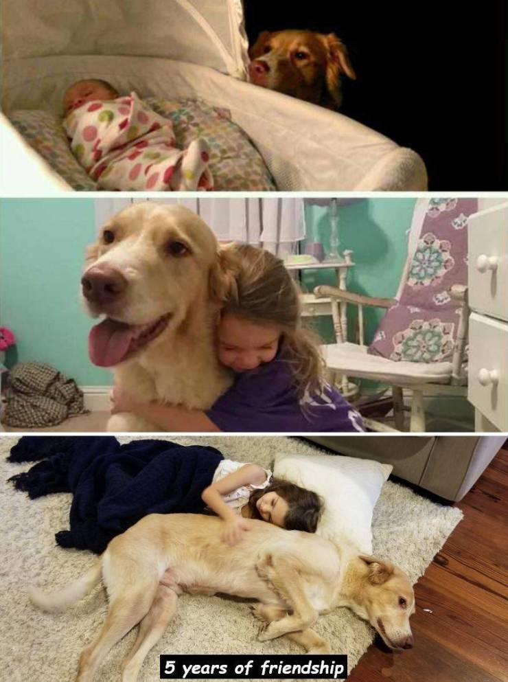 Dog - 5 years of friendship