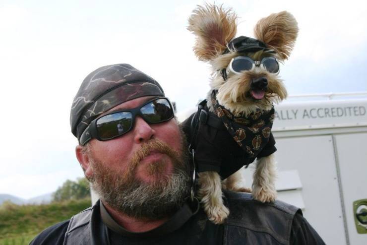 biker with little dog - Ally Accredited