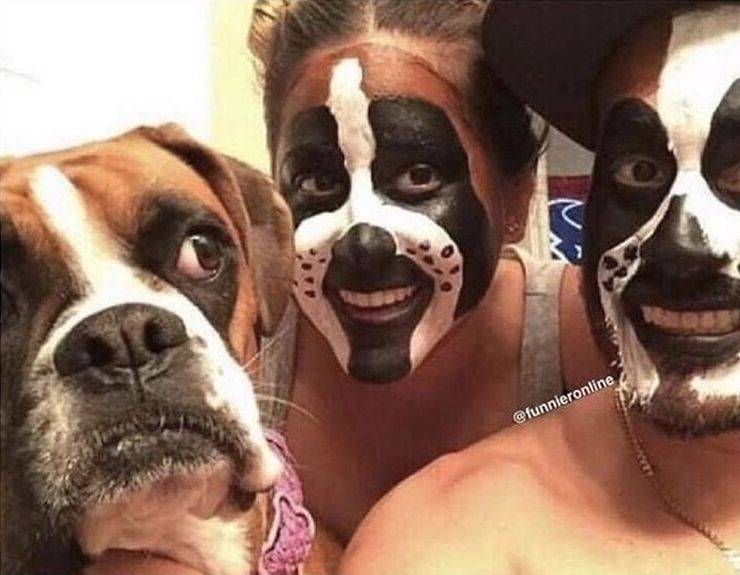 halloween costumes for two dogs - 2