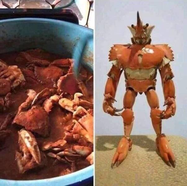 random pics - crab with armor