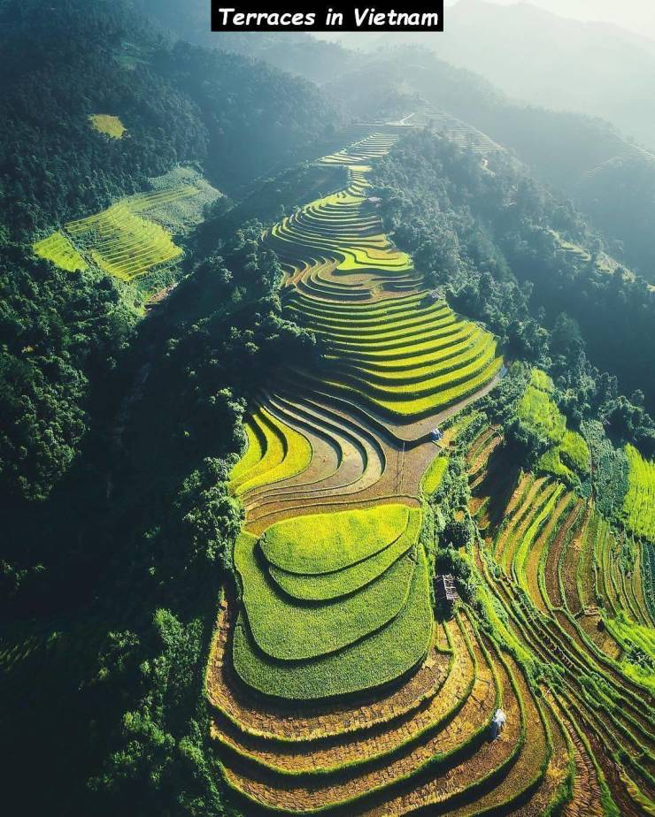 random pics - vietnam rice fields - Terraces in Vietnam Ser