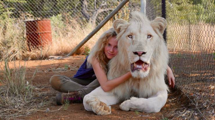 mia and the white lion movie