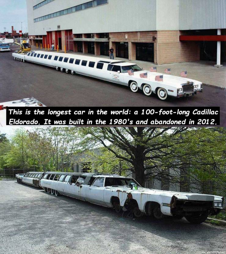 world's longest limo - This is the longest car in the world a 100footlong Cadillac Eldorado. It was built in the 1980's and abandoned in 2012.
