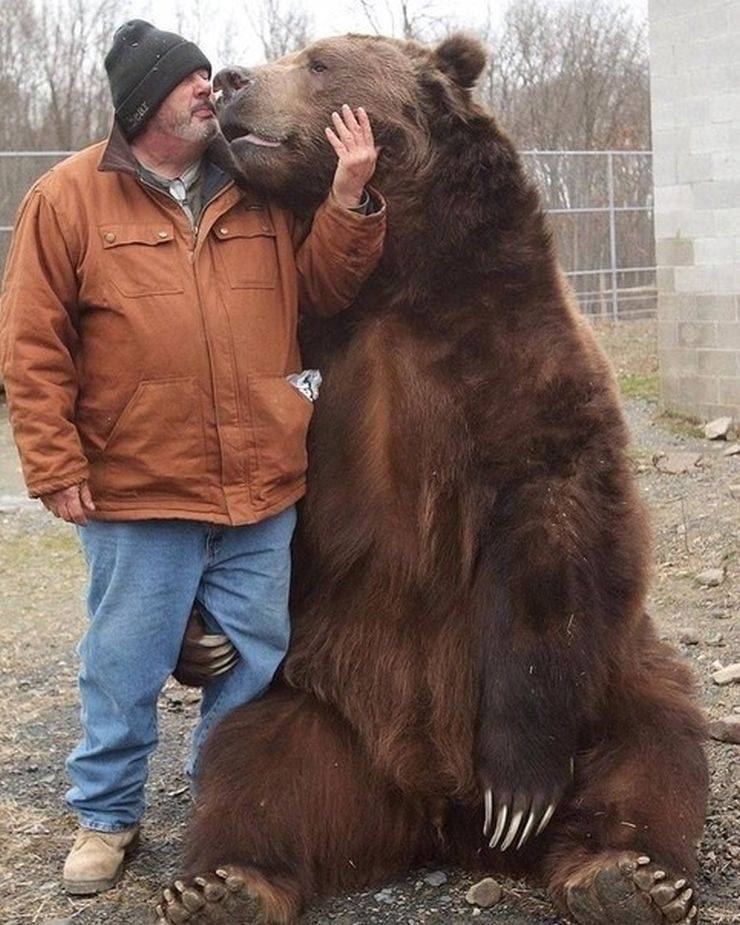 random pics - jimbo the bear