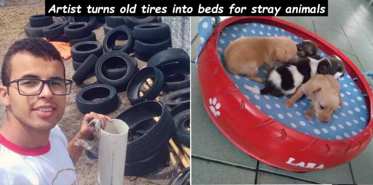 Dog - Artist turns old tires into beds for stray animals