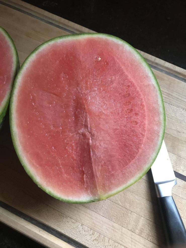 cool meme - watermelon