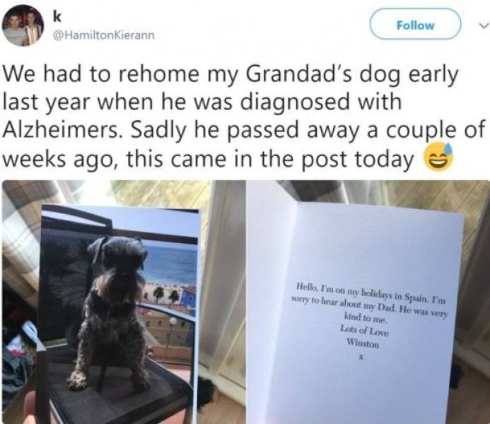 my dog loves me tweet - k Kierann We had to rehome my Grandad's dog early last year when he was diagnosed with Alzheimers. Sadly he passed away a couple of weeks ago, this came in the post today Hello, I'm on my holidays in Spain. I'm sorry to bear about 