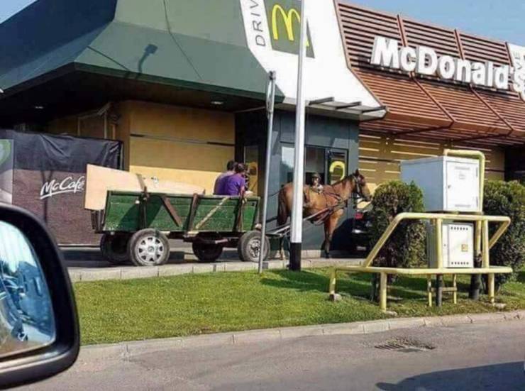 meanwhile in bulgaria - Driv McDonald