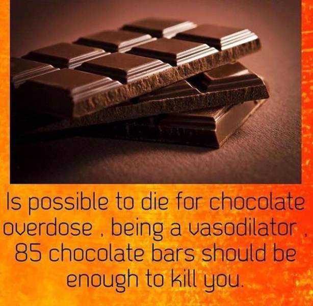Is possible to die for chocolate overdose, being a vasodilator 85 chocolate bars should be enough to kill you..