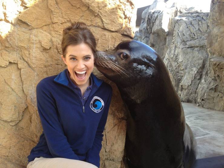 allison williams getting kissed by a seal
