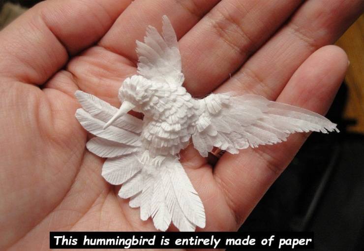 paper art bird - This hummingbird is entirely made of paper