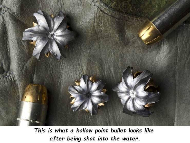 hollow points - This is what a hollow point bullet looks after being shot into the water.