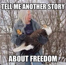 happy 4th of july meme - Tell Me Another Story About Freedomia 11