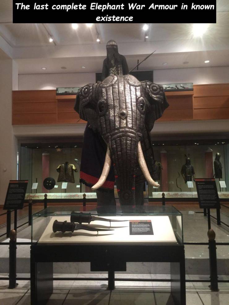 museum - The last complete Elephant War Armour in known existence