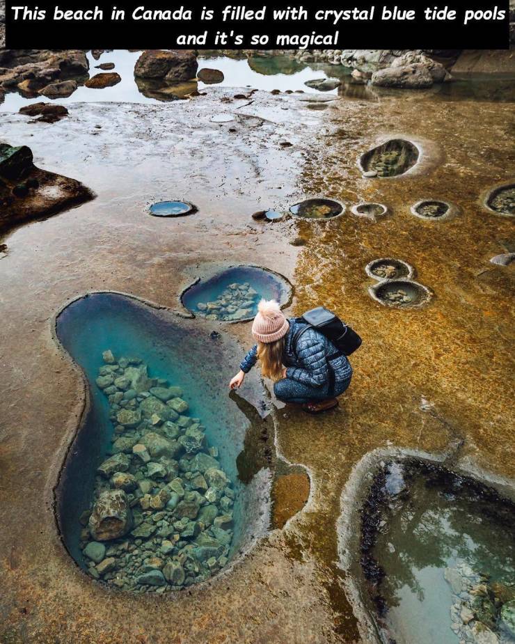 water resources - This beach in Canada is filled with crystal blue tide pools and it's so magical