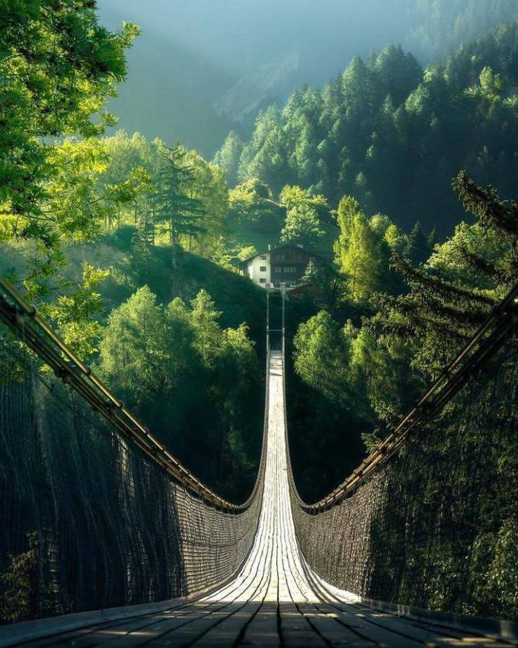 nature bridge over a massive chasm