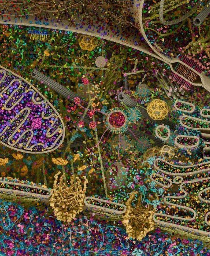 inner workings of a cell -