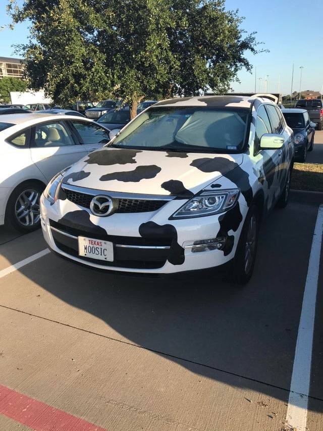 family car - Texas Moosic