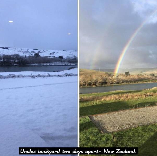 rainbow - Uncles backyard two days apart New Zealand.