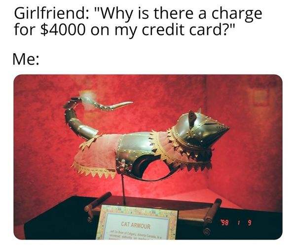 cat armour meme - Girlfriend "Why is there a charge for $4000 on my credit card?" Me Catarmour $ 998 19
