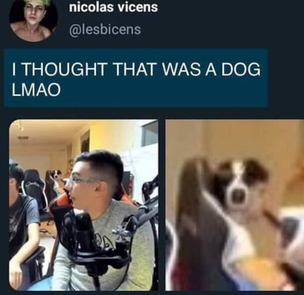 Meme - nicolas vicens I Thought That Was A Dog Lmao