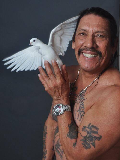 danny trejo dove