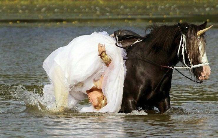 bride on a unicorn