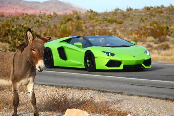 lamborghini aventador