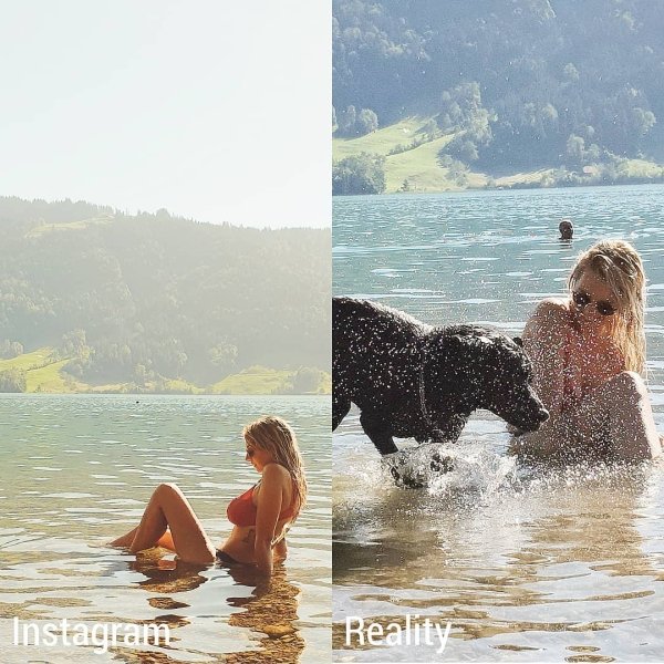 Instagram vs Reality - dog