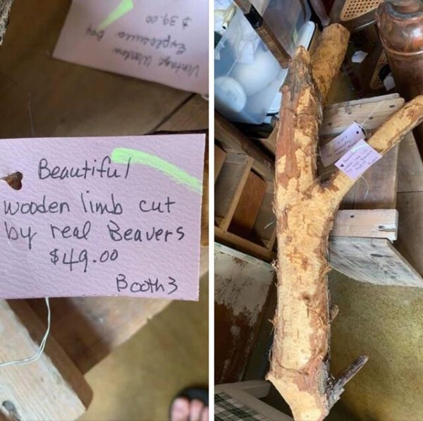 wood - be Ang mada Beautiful wooden limb cut by real Beavers $49.00 Booth3