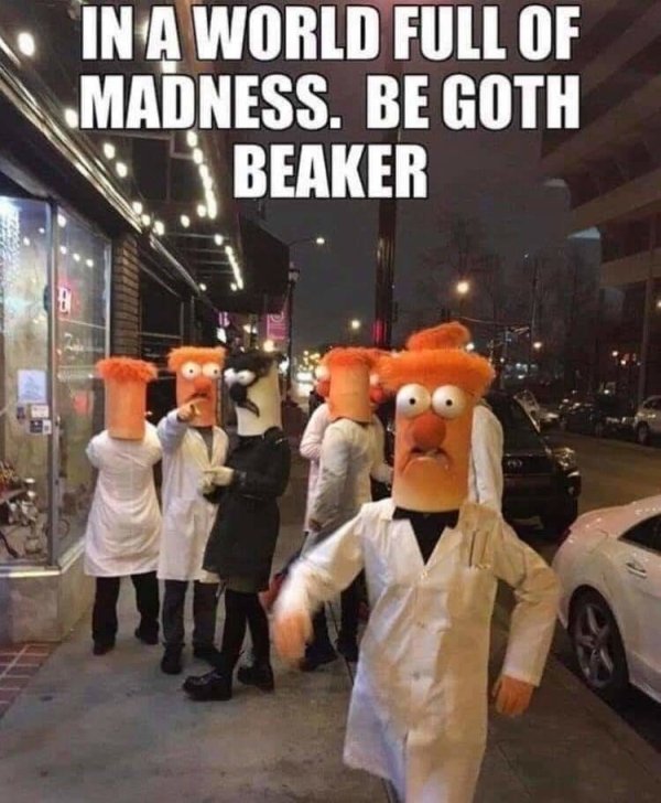 imagine this being the last thing you see before you die - In A World Full Of Madness. Be Goth Beaker