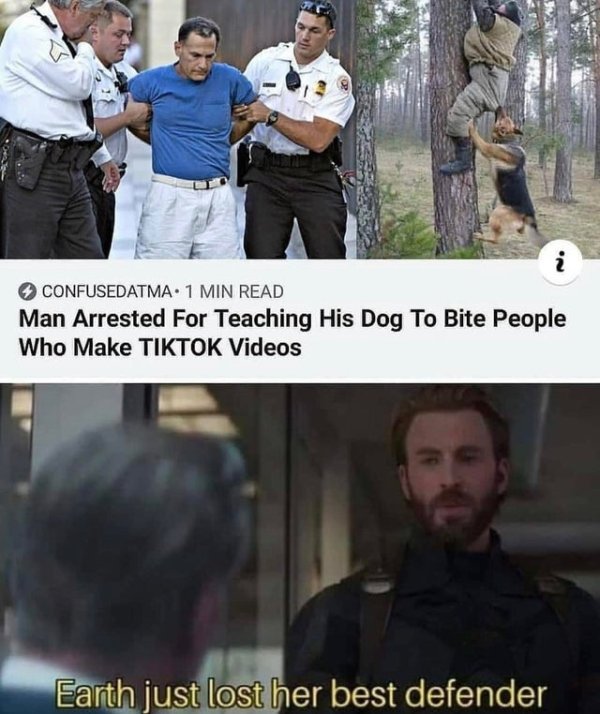 attack dog - Confusedatma. 1 Min Read Man Arrested For Teaching His Dog To Bite People Who Make Tiktok Videos Earth just lost her best defender