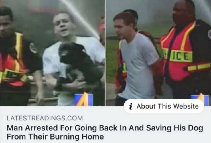 Dog - Ice i About This Website Latestreadings.Com Man Arrested For Going Back In And Saving His Dog From Their Burning Home