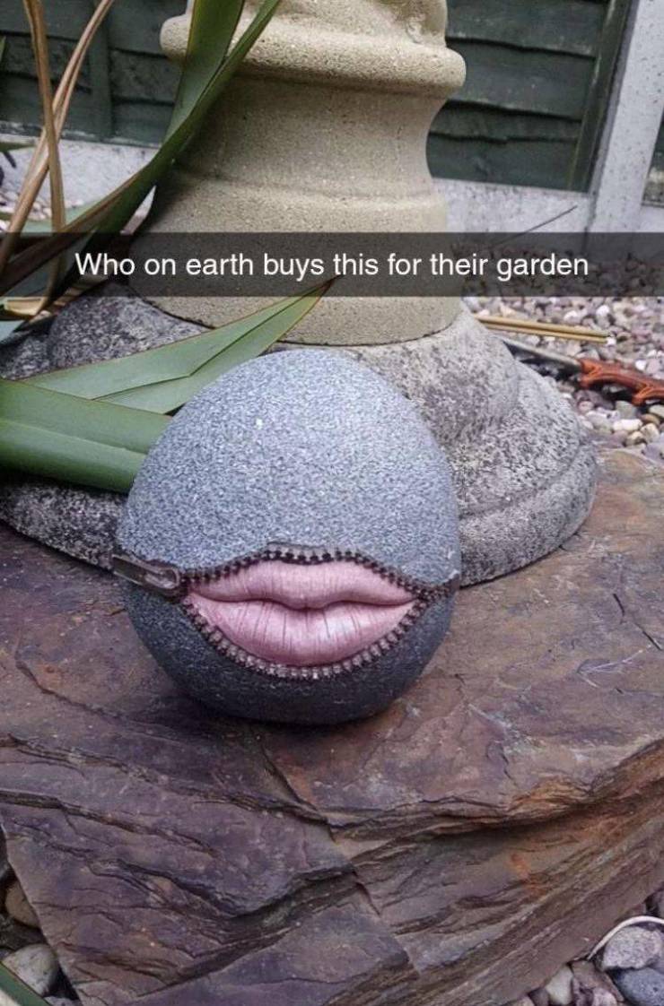 Who on earth buys this for their garden