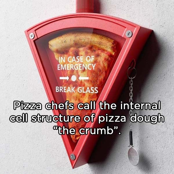 Pizza - In Case Of Emergency Break Glass Pizza chefs call the internal cell structure of pizza dough athe crumb".