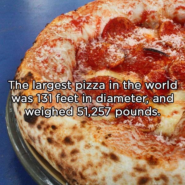 pizza cheese - The largest pizza in the world was 131 feet in diameter, and weighed 51,257 pounds.