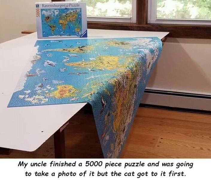 tablecloth - Ravensburger Puzzle 5000 My uncle finished a 5000 piece puzzle and was going to take a photo of it but the cat got to it first.
